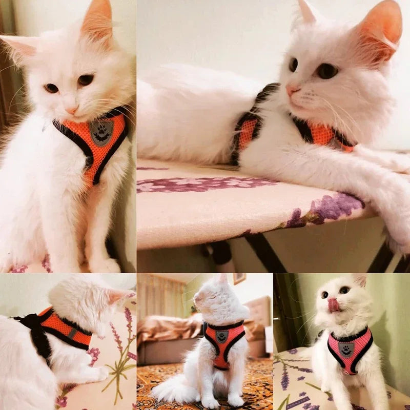 Breathable Mesh Harness & Lead Set for Cats & Small Dogs