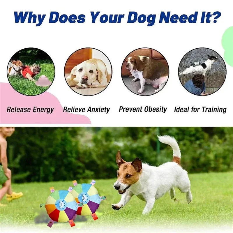 Rainbow Flying Disc Plush Toys – Interactive Chew Set for Dogs