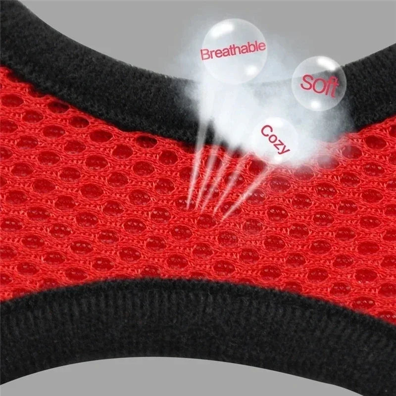 Breathable Mesh Harness & Lead Set for Cats & Small Dogs