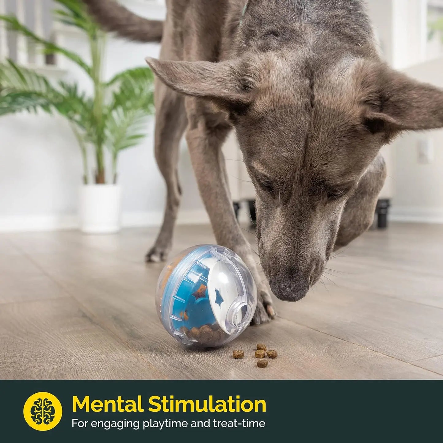 Interactive IQ Treat Ball Toy for Dogs & Cats