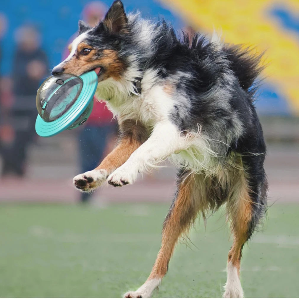 Interactive IQ Puzzle Feeder Toy for Dogs