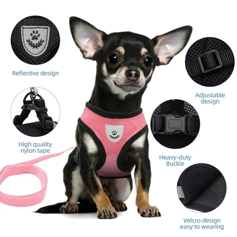 Breathable Mesh Harness & Lead Set for Cats & Small Dogs