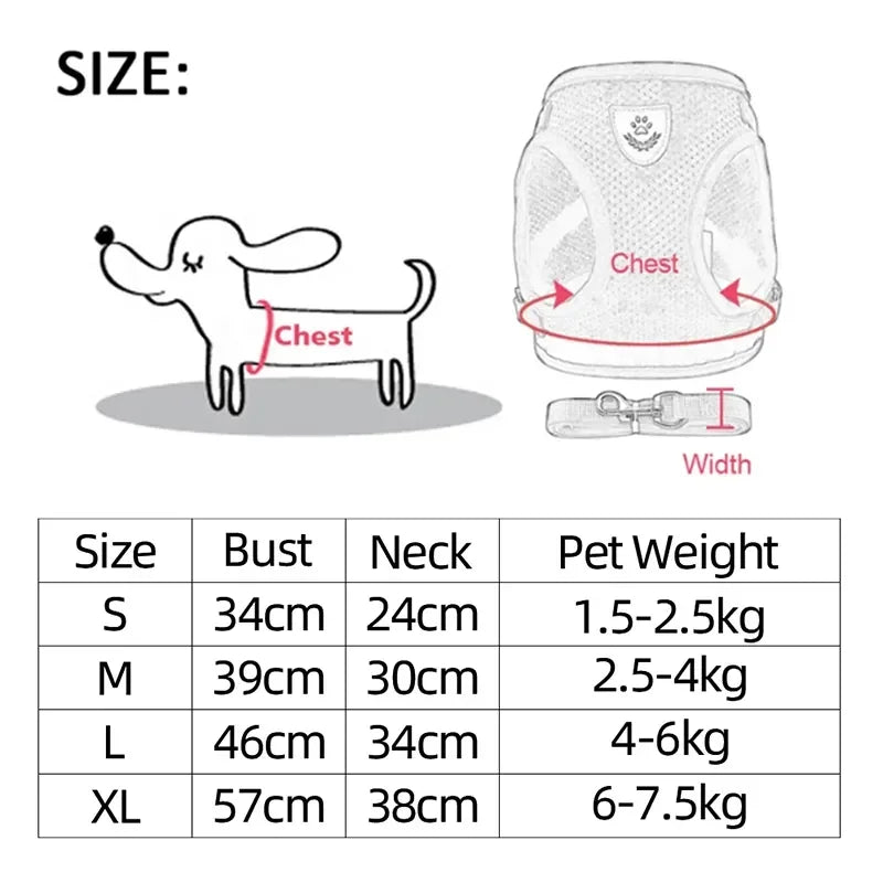 Breathable Mesh Harness & Lead Set for Cats & Small Dogs