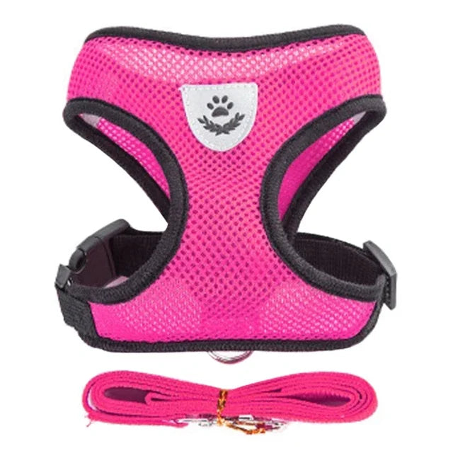 Breathable Mesh Harness & Lead Set for Cats & Small Dogs