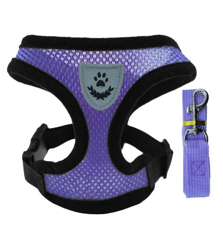 Breathable Mesh Harness & Lead Set for Cats & Small Dogs