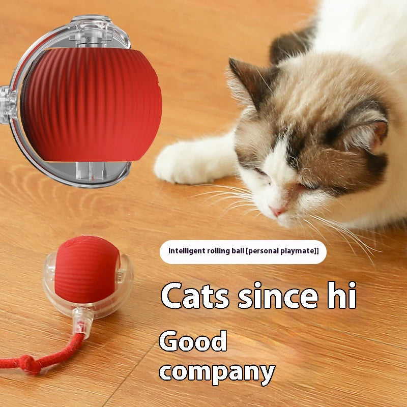 Interactive Smart Cat Toy Ball (USB Rechargeable)