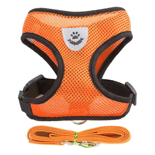 Breathable Mesh Harness & Lead Set for Cats & Small Dogs