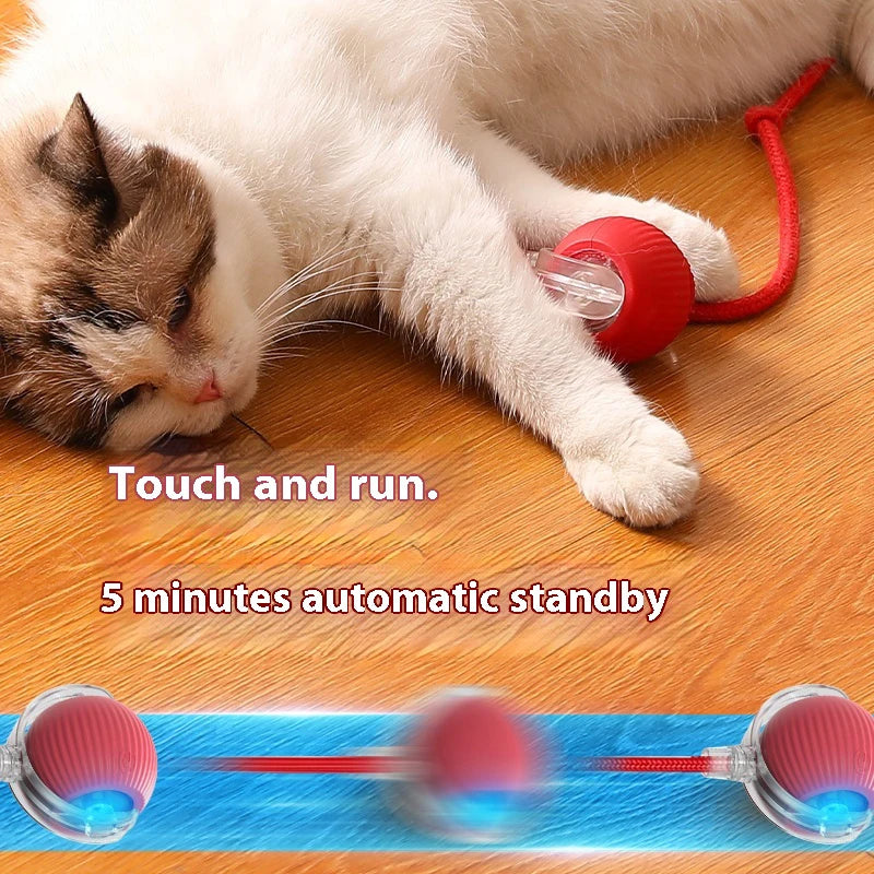 Interactive Smart Cat Toy Ball (USB Rechargeable)