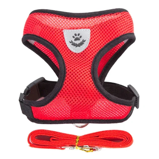 Breathable Mesh Harness & Lead Set for Cats & Small Dogs