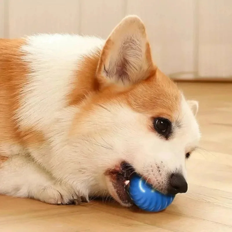 Automatic Bouncing Interactive Dog Ball Toy (USB Rechargeable)