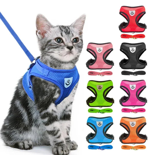 Breathable Mesh Harness & Lead Set for Cats & Small Dogs