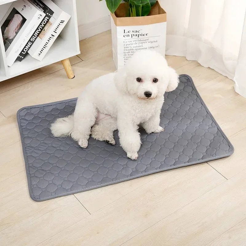 Reusable Absorbent & Washable Dog Pee Pad for Training