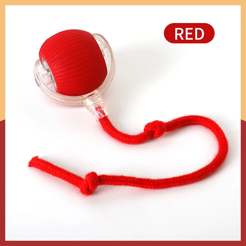 Interactive Smart Cat Toy Ball (USB Rechargeable)