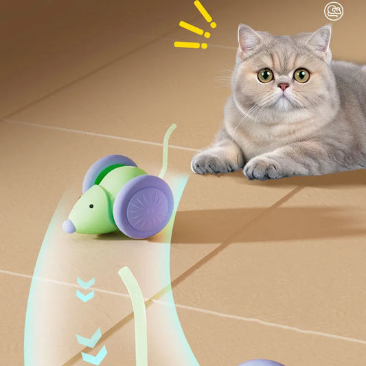 Rechargeable Mouse Car – Smart Interactive Toy for Cats