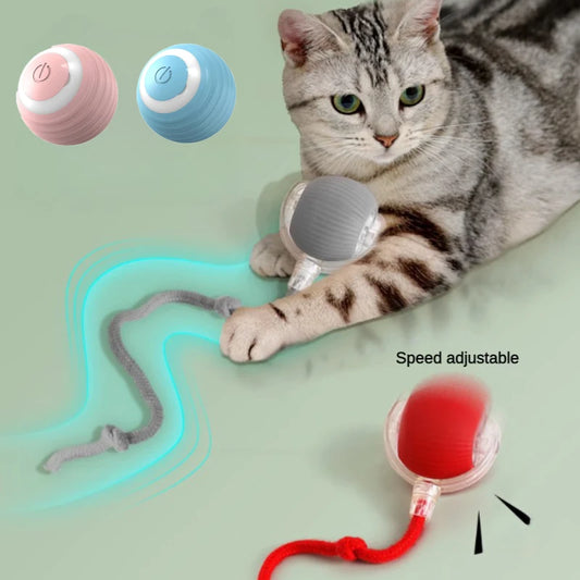 Interactive Smart Cat Toy Ball (USB Rechargeable)