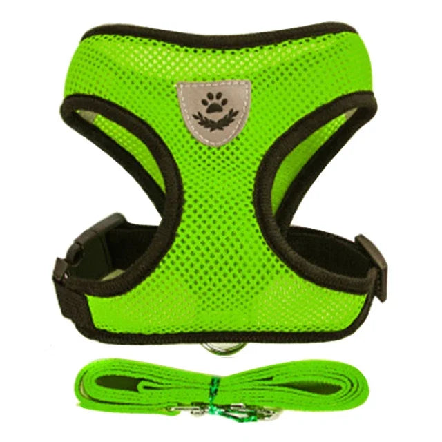 Breathable Mesh Harness & Lead Set for Cats & Small Dogs