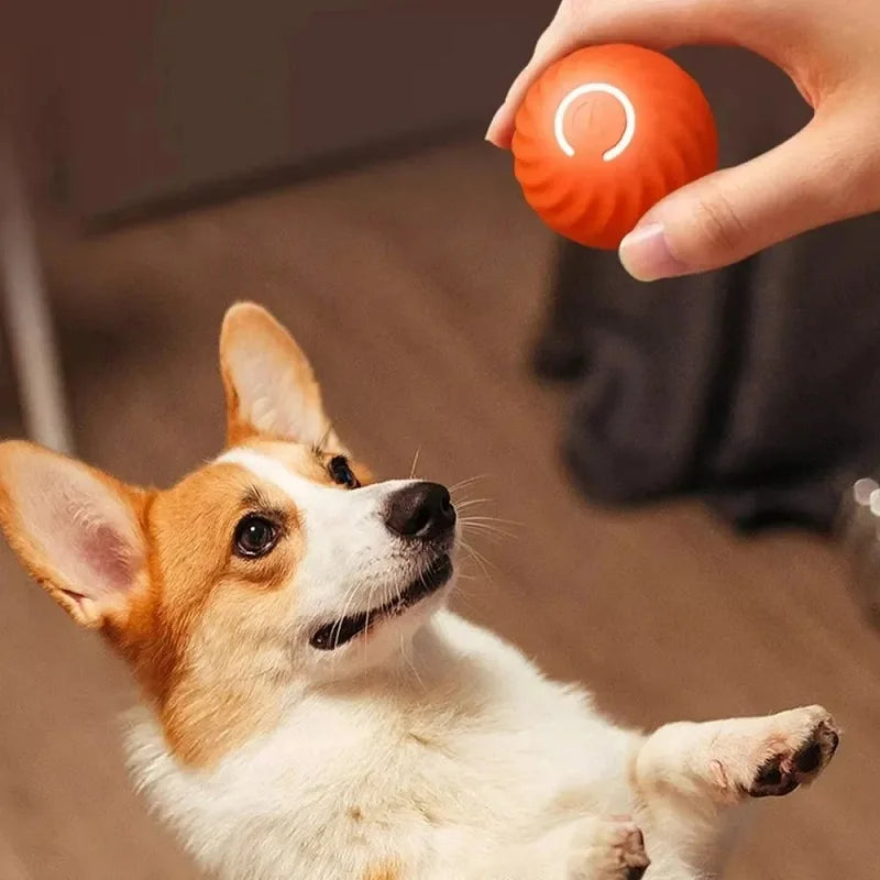 Automatic Bouncing Interactive Dog Ball Toy (USB Rechargeable)