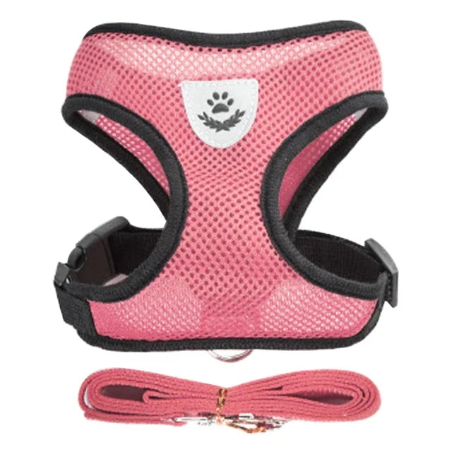 Breathable Mesh Harness & Lead Set for Cats & Small Dogs