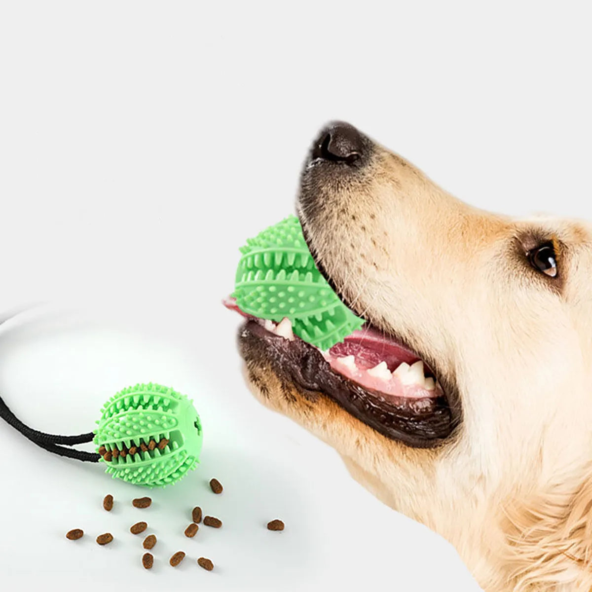 Interactive Suction Cup Tug & Chew Toy for Dogs