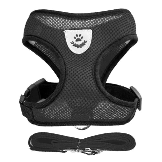 Breathable Mesh Harness & Lead Set for Cats & Small Dogs